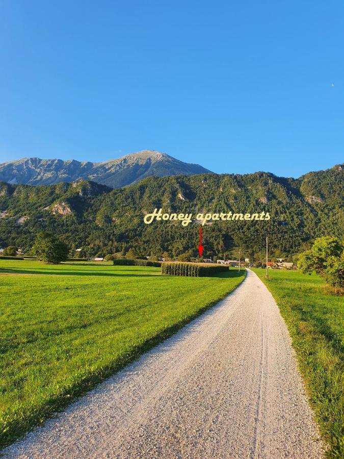 Honey Apartments Zirovnica Εξωτερικό φωτογραφία